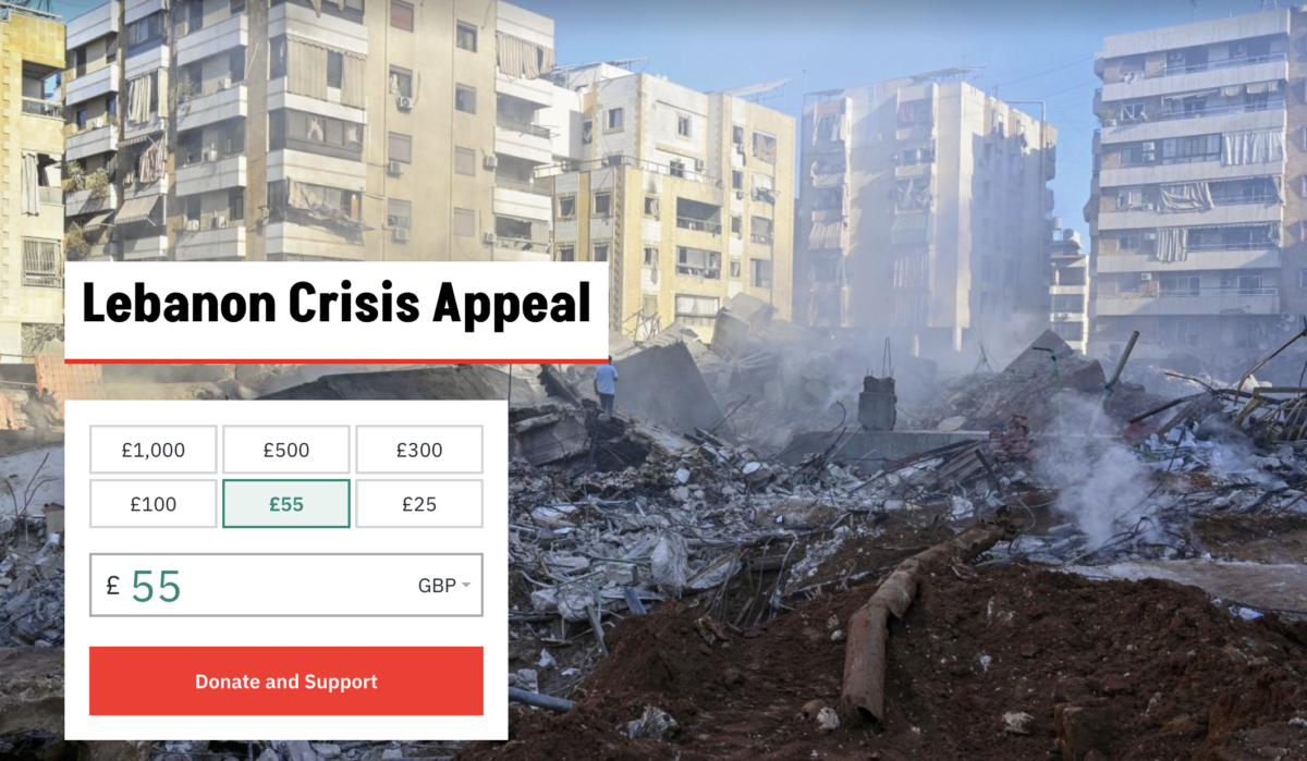 ActionAid Lebanon appeal