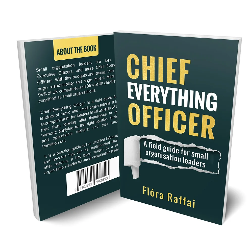 Chief Everything Officer - front and back covers of book