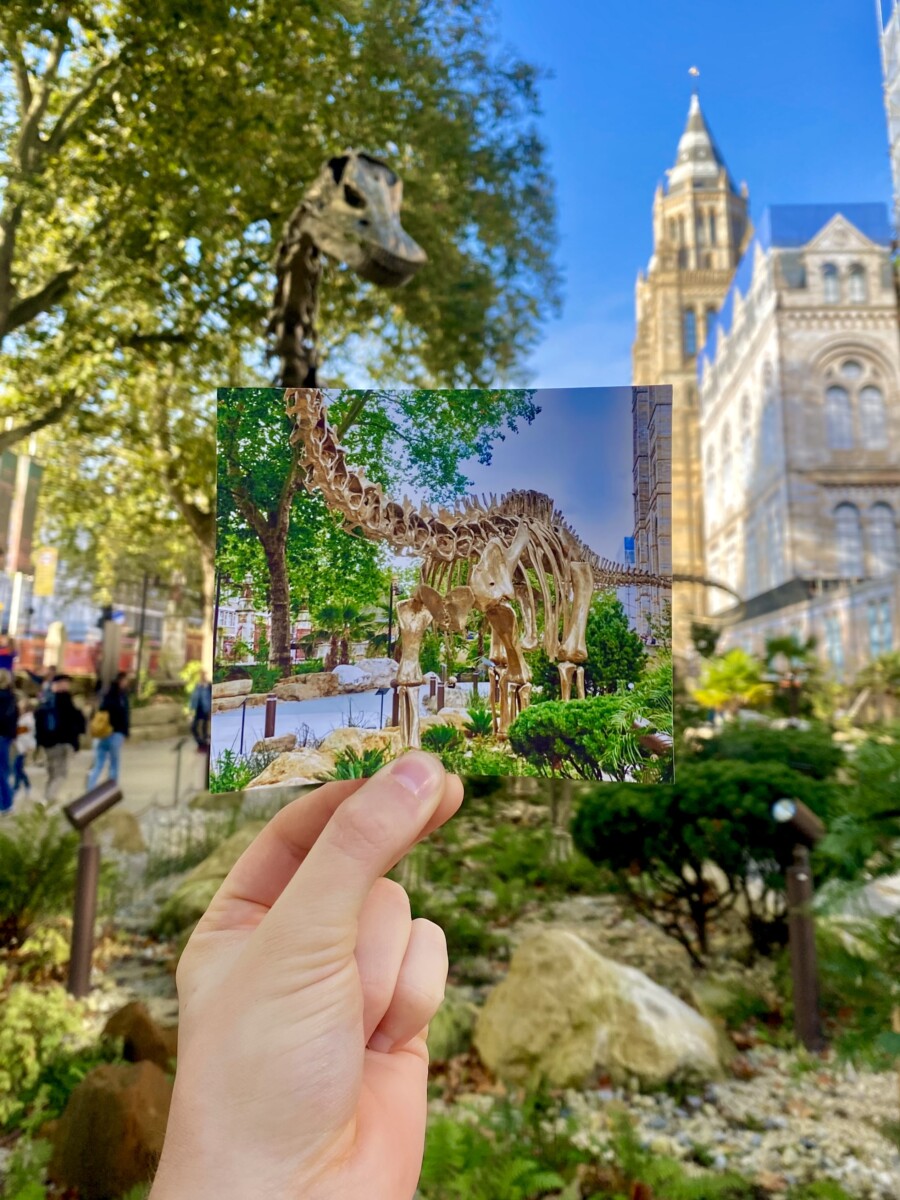 2024: Fern the Diplodocus is unveiled at The Natural History Museum   
By Thomas Duke