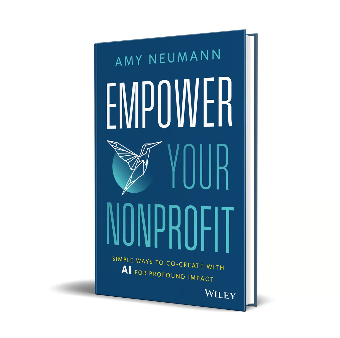 Empower our Nonprofit - 3d book cover