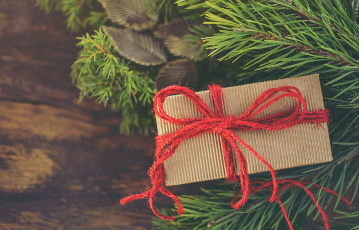 A Christmas gift in a brown cardboard box and red bow, by a christmas tree. By Monicore on Pexels