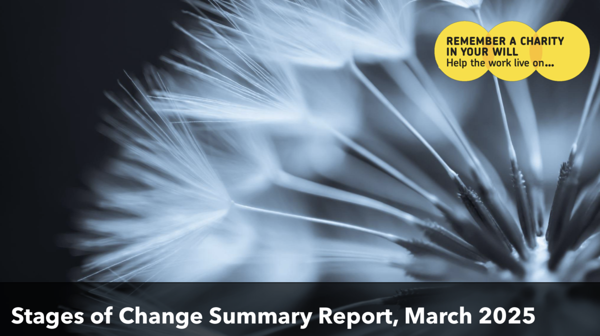 Front cover of summary version of Remember a Charity report