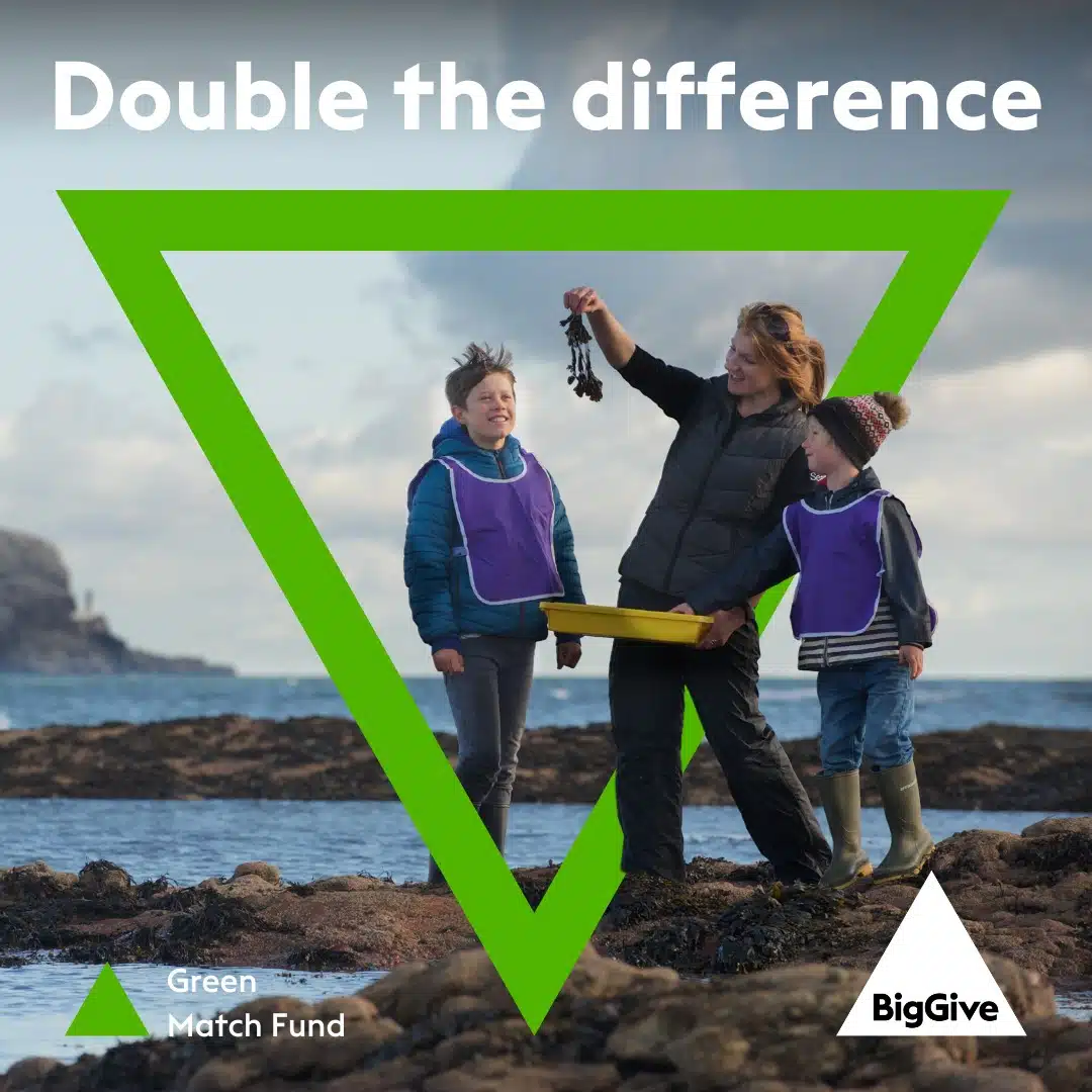 Double the difference. BigGive logo. A woman and two childrn enjoying themselves amongst rockpools, with a green thick outlined triangle, Big Give's icon, connecting them.