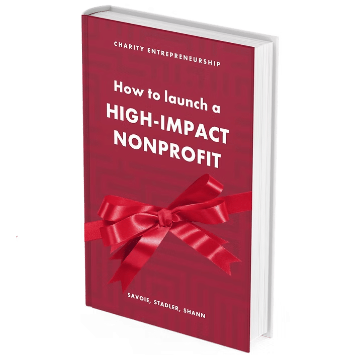 How to Launch a High-Impact Nonprofit