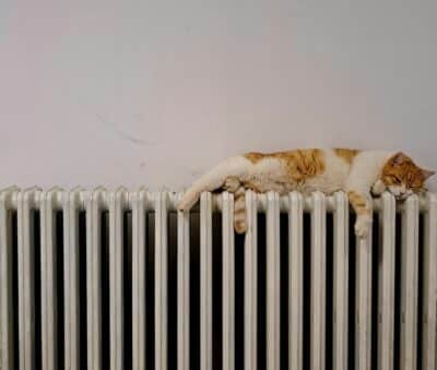 Cat asleep on a warm radiator.