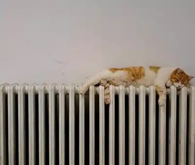 Cat asleep on a warm radiator.