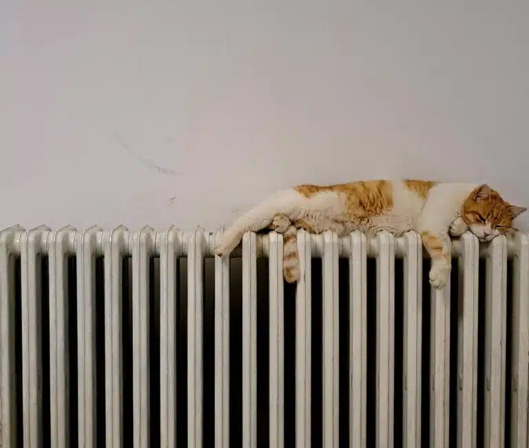 Cat asleep on a warm radiator.