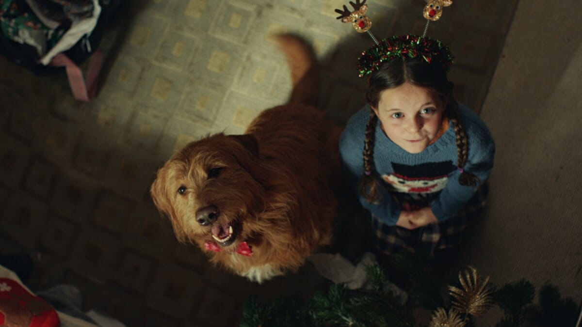 A young girl and her dog look up in a room with Christmas decorations