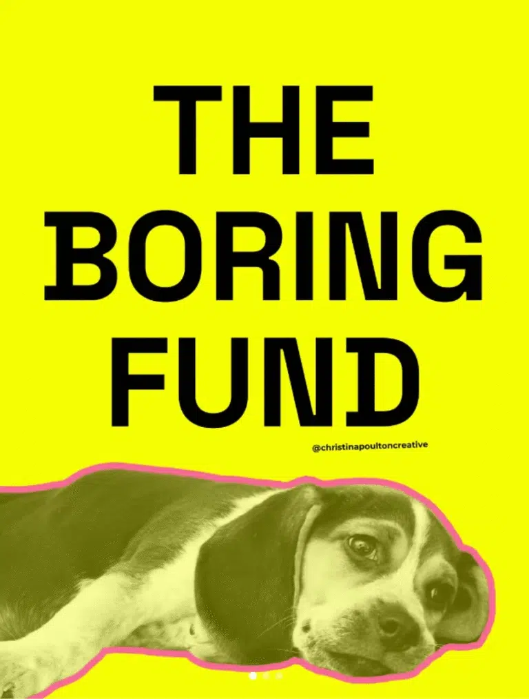 The Boring Fund. Text on a bright yellow background, with a black and white photo of a dog lying down beneath it.
