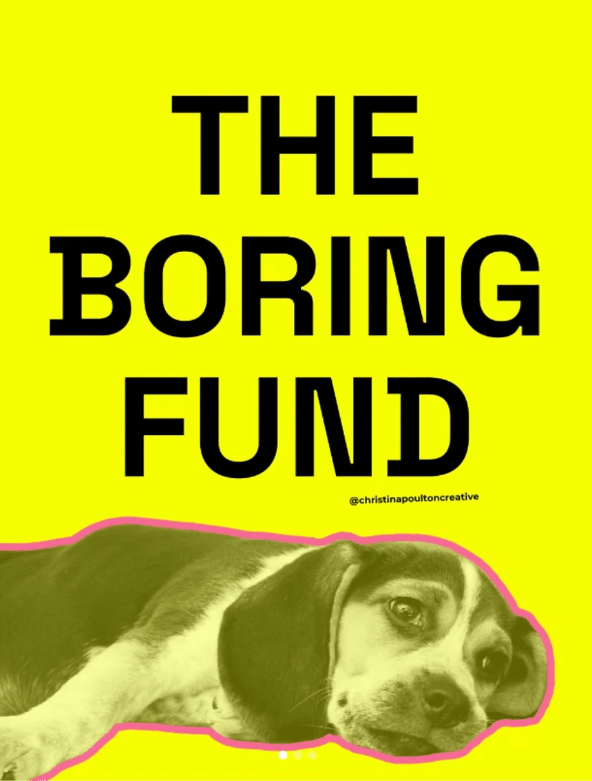 The Boring Fund. Text on a bright yellow background, with a black and white photo of a dog lying down beneath it.