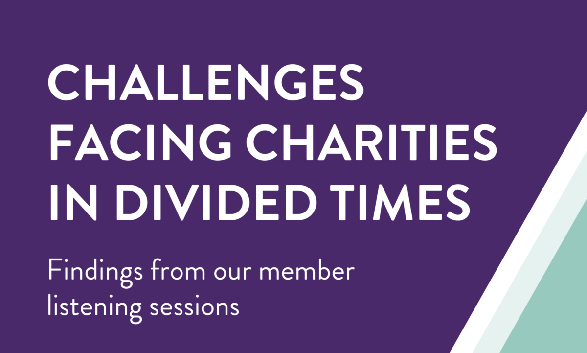 Challenges facing charities in divided times - detail of front cover of NCVO report