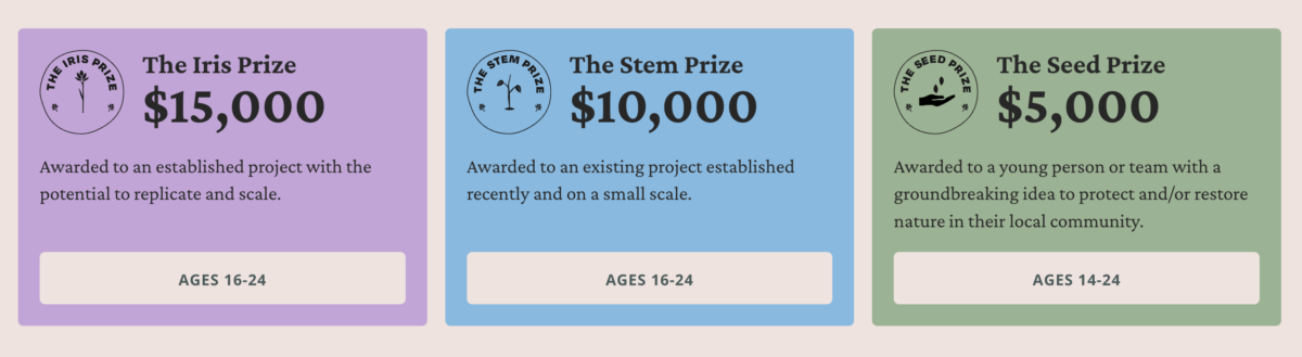 The three prizes within the Iris Prize.