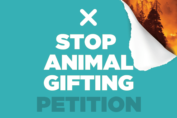 Stop Animal Gifting Petition