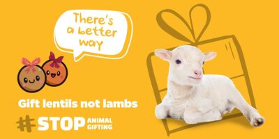 Stop Gifting Animals campaign