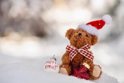 Teddy Bear with Santa Hat.