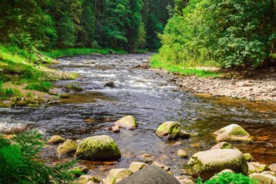 River flowing over stones with wooded banks.