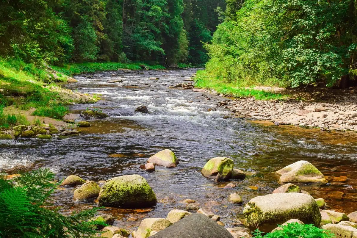 River flowing over stones with wooded banks.