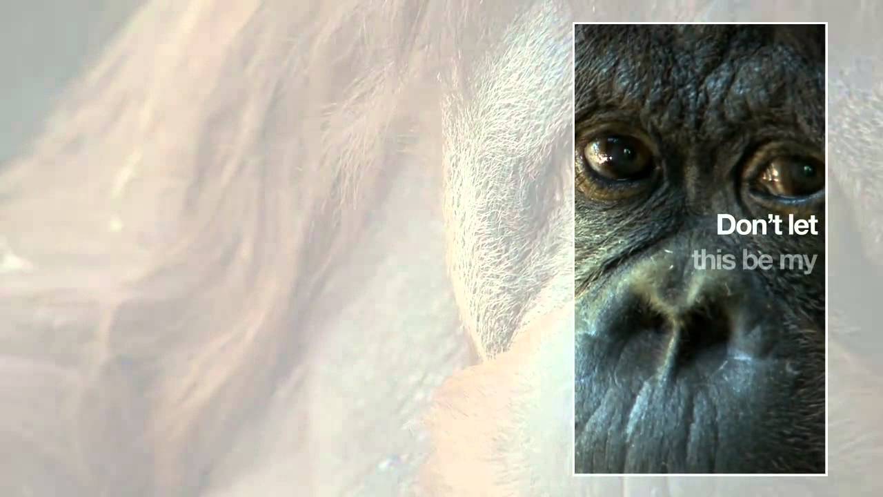 youtube placeholder image